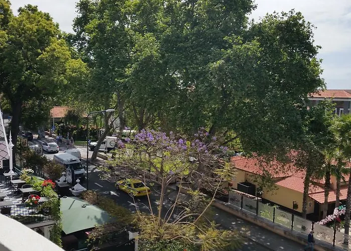 Navio Azul * פונשל