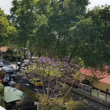 Navio Azul * 丰沙尔