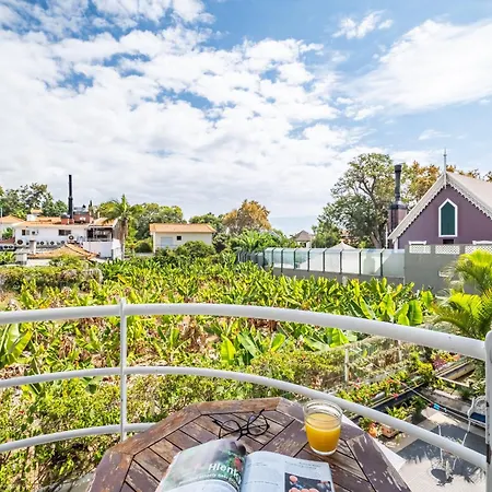 Navio Azul 丰沙尔